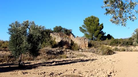 Foto 2 de Finca rústica en venda a Maella, Zaragoza
