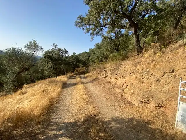 Terrenos y solares en venta en La Nava, imagen 10
