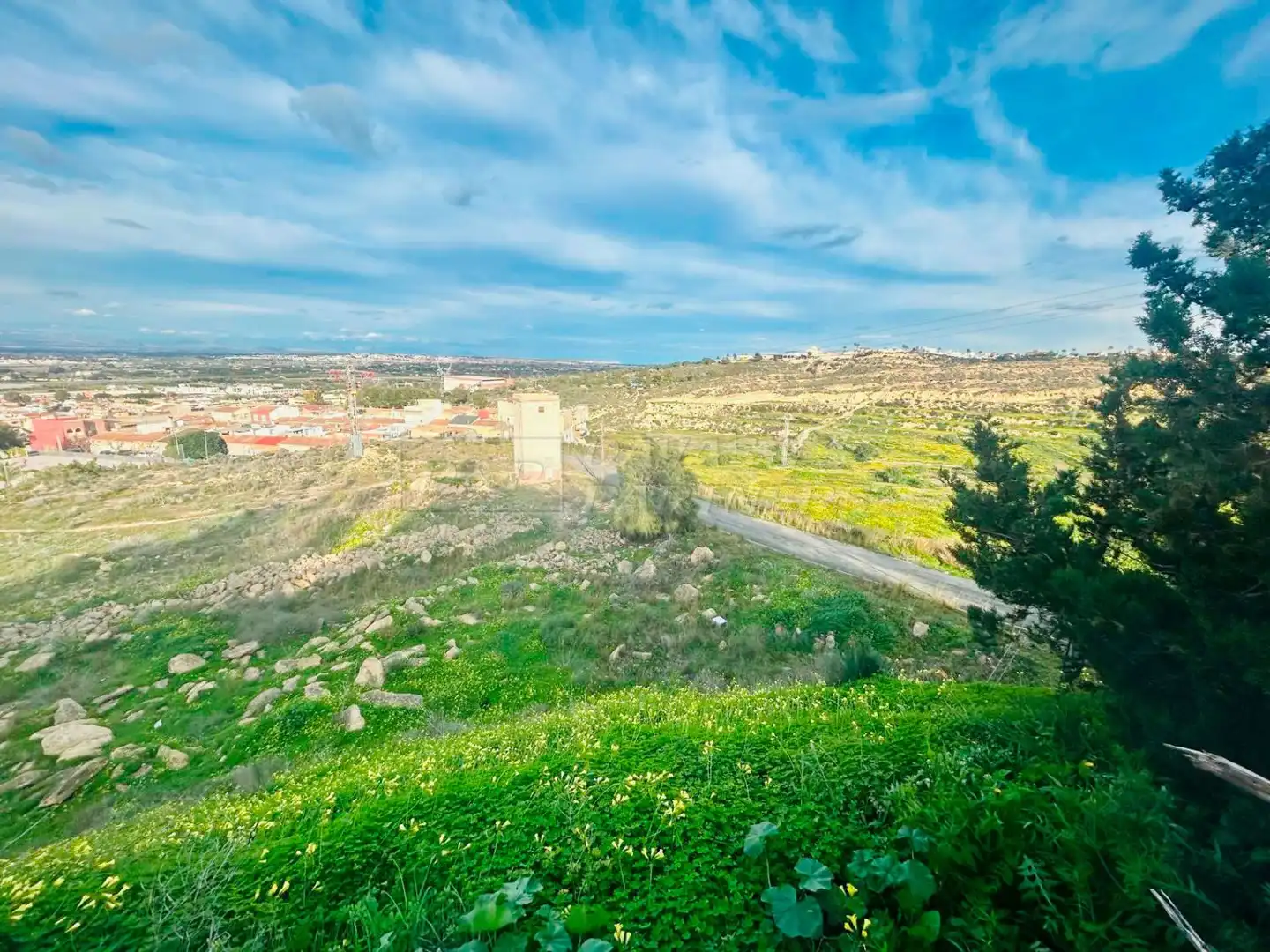 Industriegebäude zum Verkauf in Rojales, imagen 12