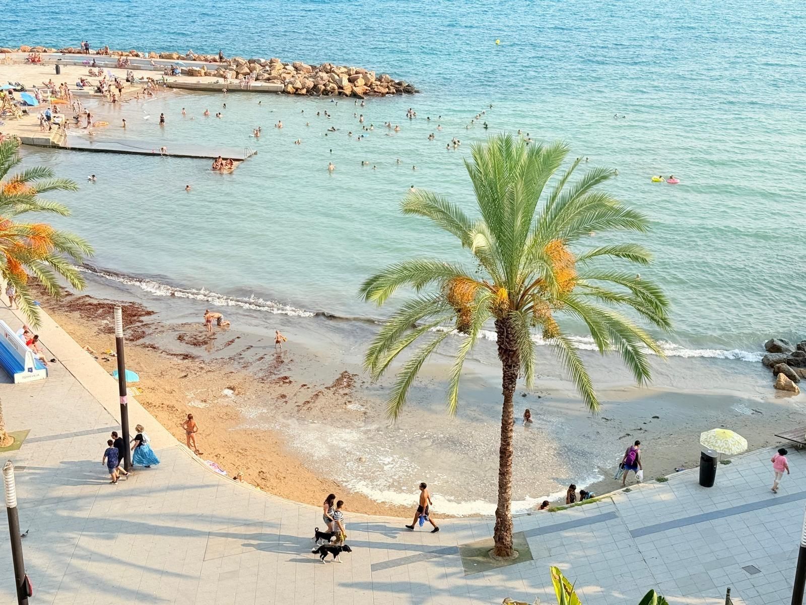 Vista exterior de Àtic en venda en Torrevieja amb Terrassa i Balcó