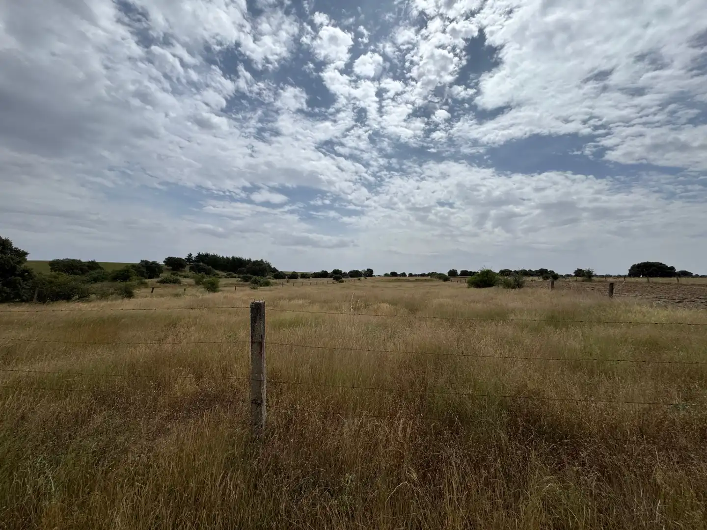 Terreno en venta en Añover de Tormes
