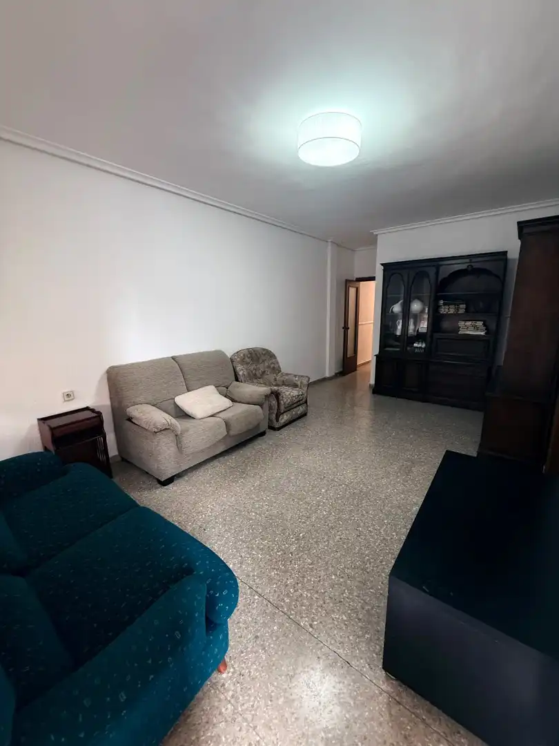 Sala d'estar de Apartament en venda en Camí Reial 