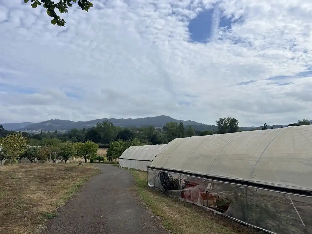 Terrenys i solars en venda a Llanera, imagen 21