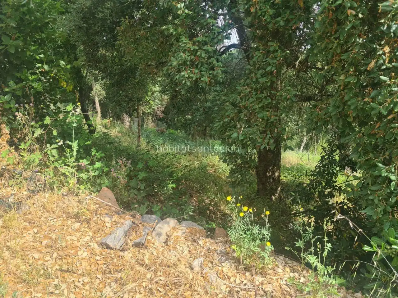 Terreno residencial en venta en Calle Gírgola 11, imagen 6