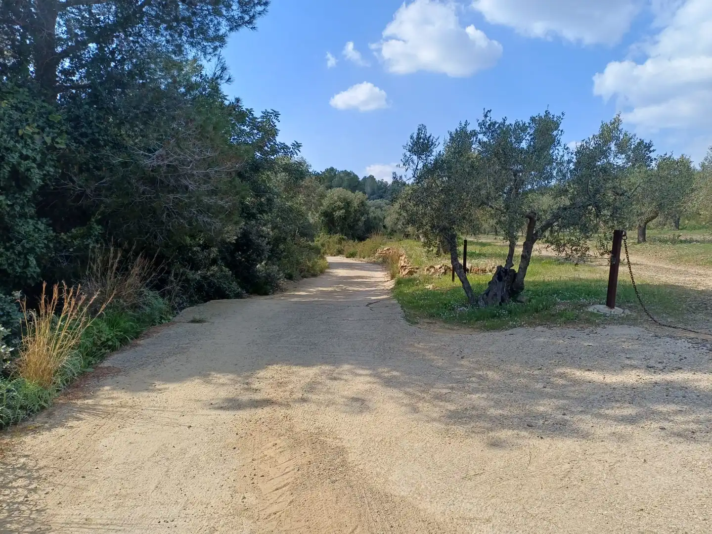 Terreno rustico in vendita a Riudecanyes, imagen 5