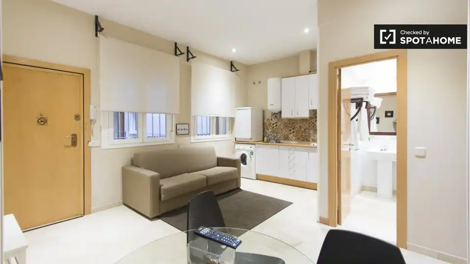 1 hab, 41m² en Sol, Centro, Madrid
