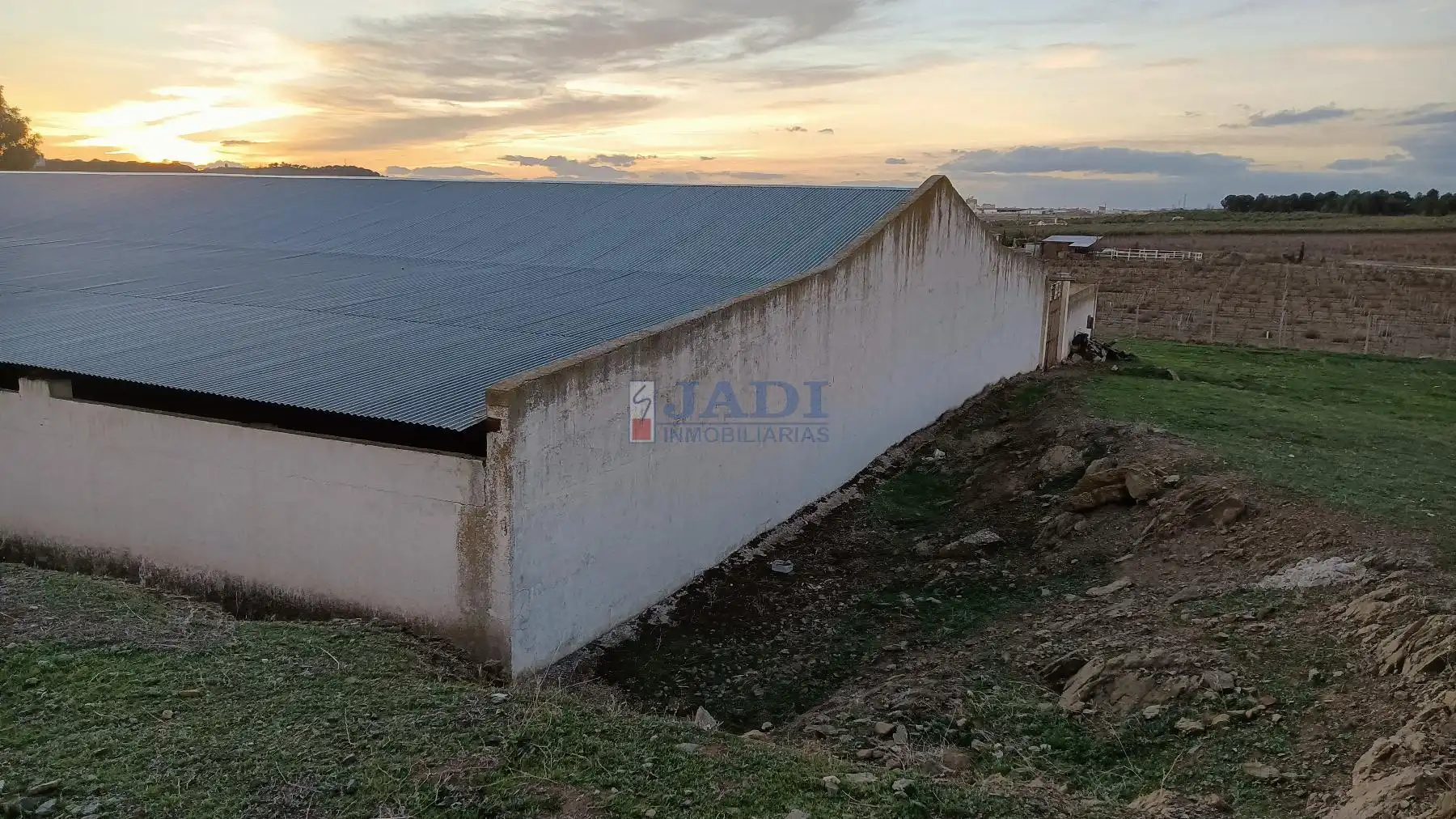 Casa rústica en venda a Valdepeñas, imagen 2