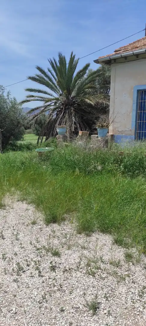 House with pool for sale in Partida Peter Rives, imagen 28