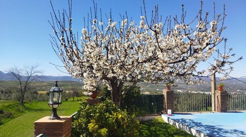Foto 5 de Casa o xalet en venda a Nazcoz, 8, Nigüelas, Granada
