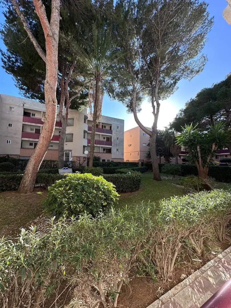 Flat for rent in de Holanda, Mil Palmeras