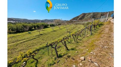 Foto 2 von Haus oder Chalet zum Verkauf in La Peza, Granada