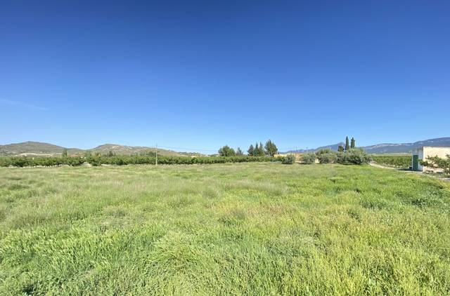 Terreno en Venta en Calle Cánovas del Castillo, 129 en Jumilla