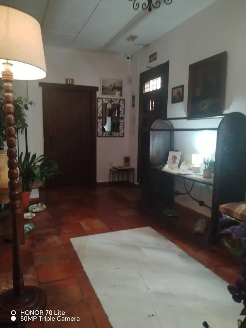 Inmuebles singulares en venta en Centro, imagen 12
