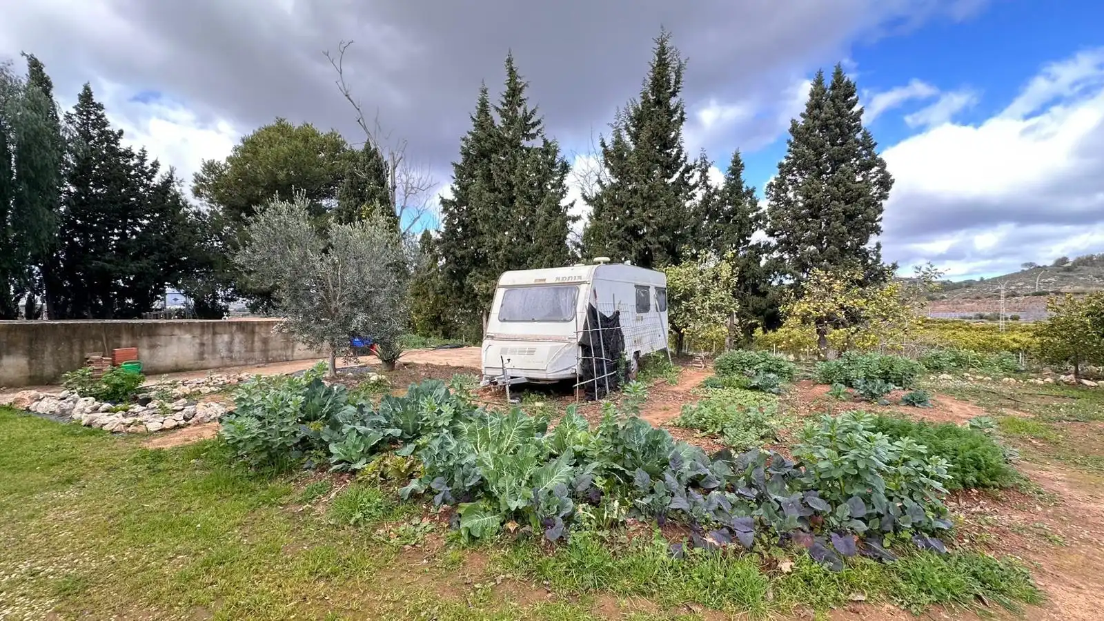 Casa o chalet en venta en Polígono POLIGONO N 7, Alfarb