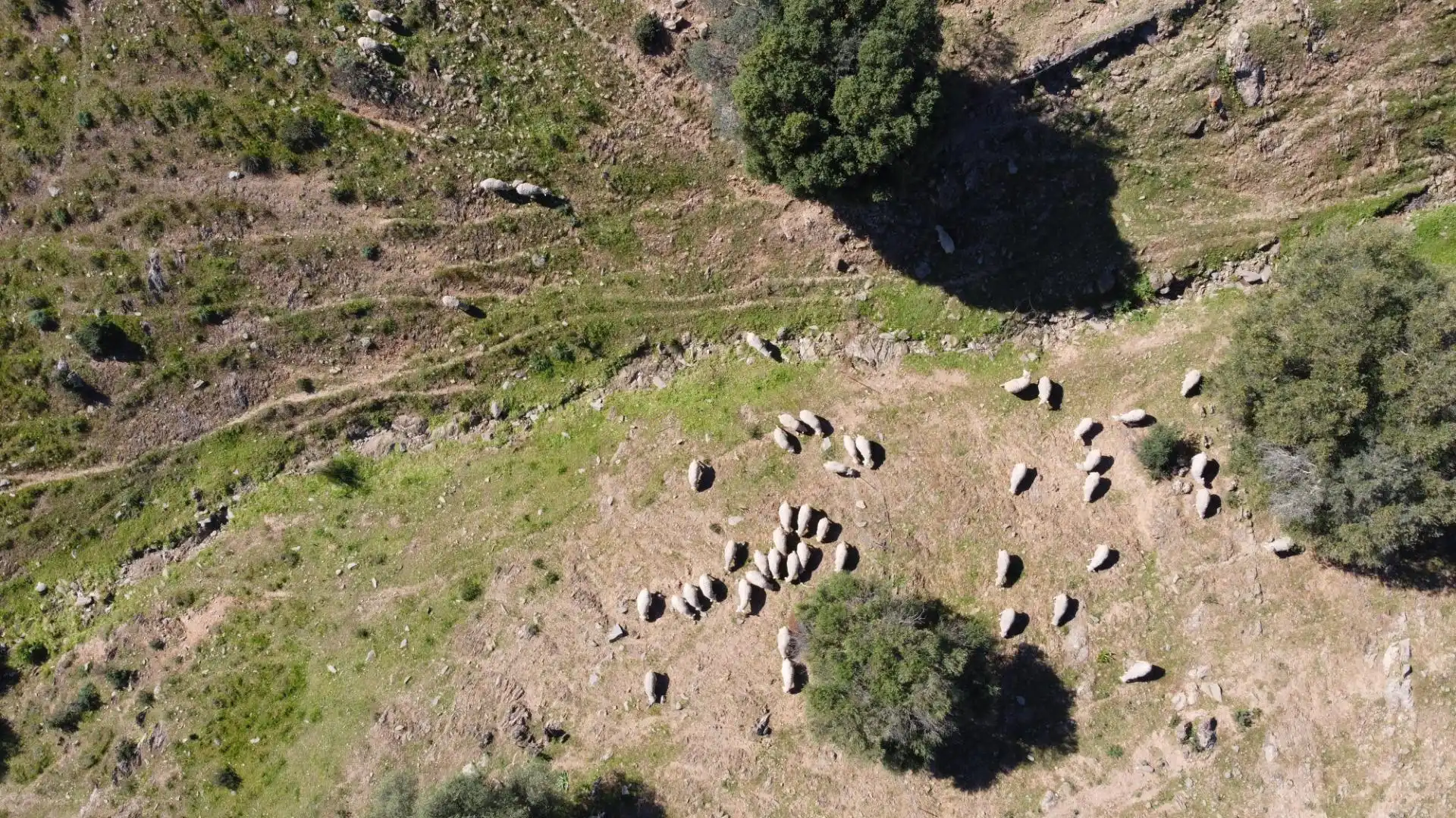 Terreni e lotti in vendita a Sanlúcar de Guadiana, imagen 37
