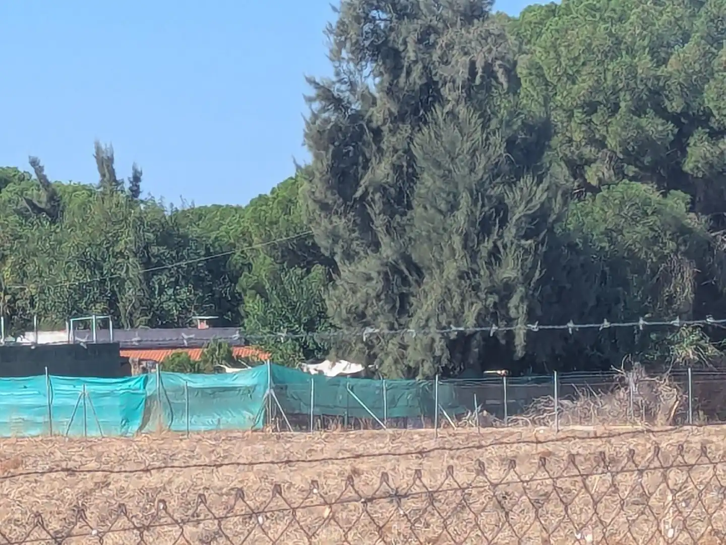 Casa o xalet en venda a Torre Cruz - Los Molinos