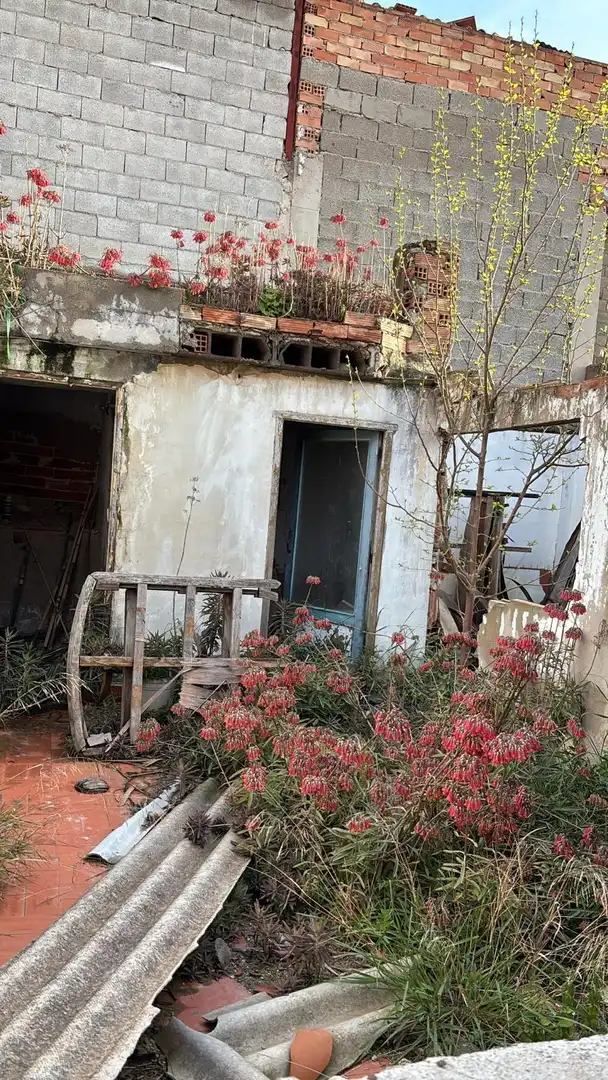 Vista exterior de Finca rústica en venta en Molina de Segura