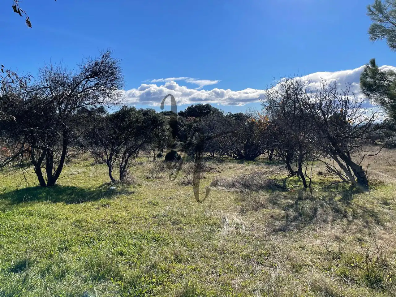 Terreno rústico en venta en paraje castellana, imagen 5