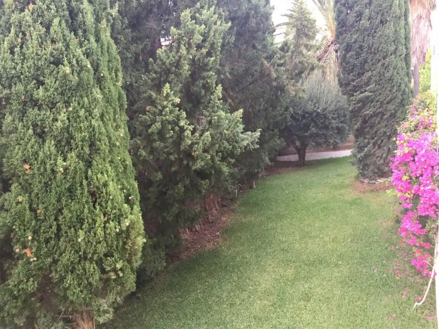 Garten von Wohnung zur Miete in Salobreña mit Klimaanlage, Privatgarten und Schwimmbad