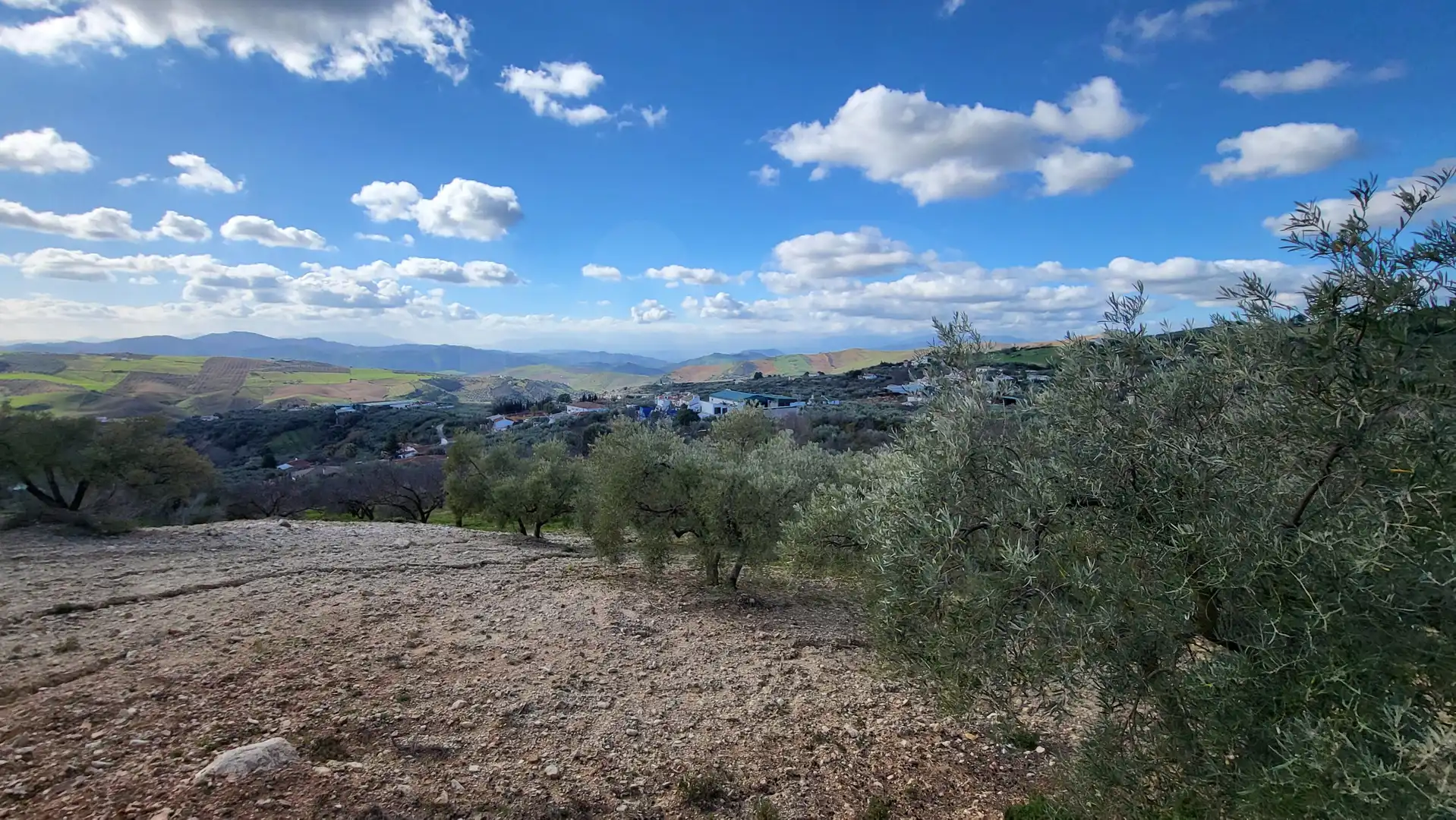 Vista exterior de Casa o chalet en venta en Antequera con Calefacción y Terraza