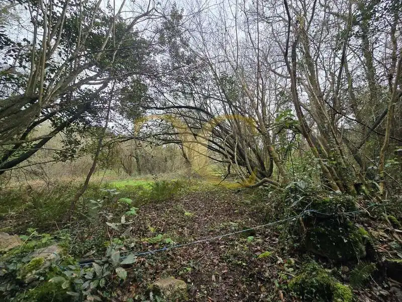 Terreno rustico in vendita a Balmori, imagen 13