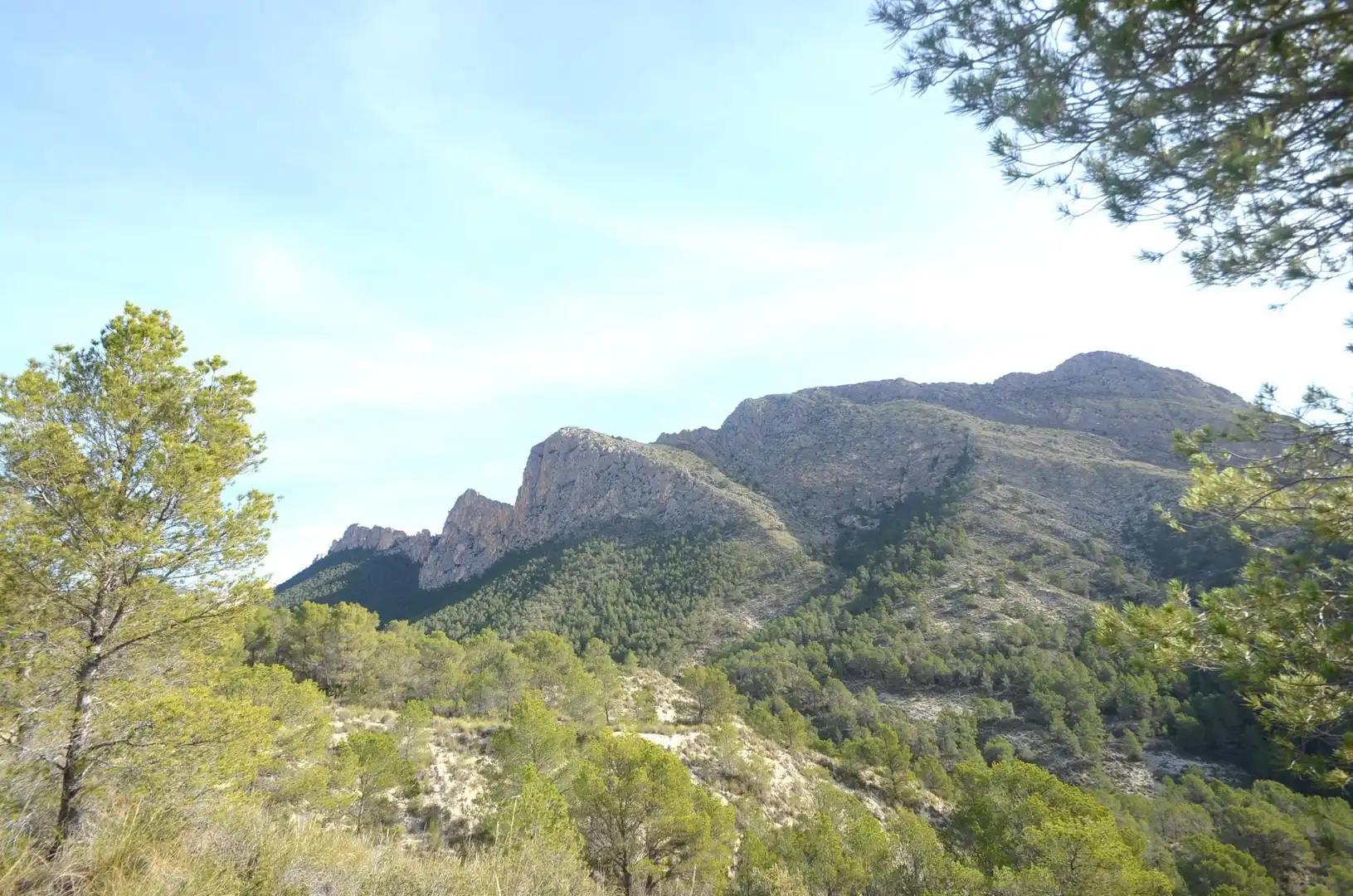 Vista exterior de Casa o xalet en venda en Orxeta amb Terrassa, Traster i Moblat