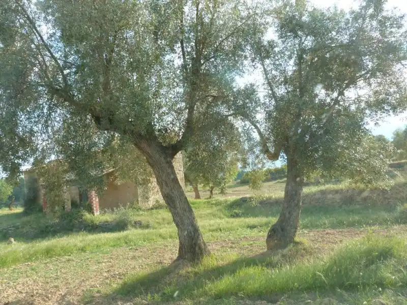 Country homes for sale in Valjunquera