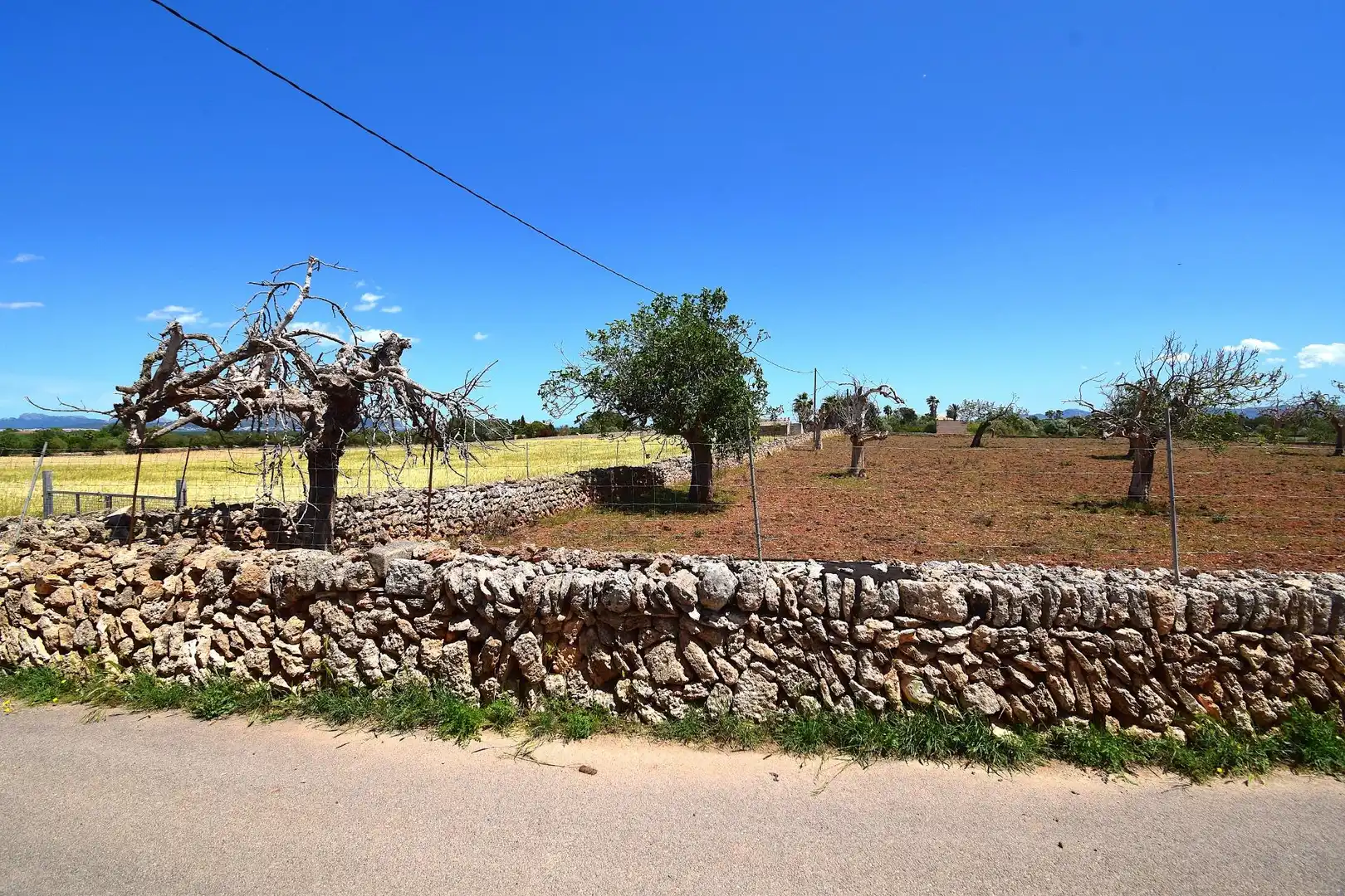 Residential land for sale in Santa Margalida Poble, imagen 10