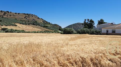 Photo 2 of Residential for sale in Carretera Ronda Campillos, Cuevas del Becerro, Málaga