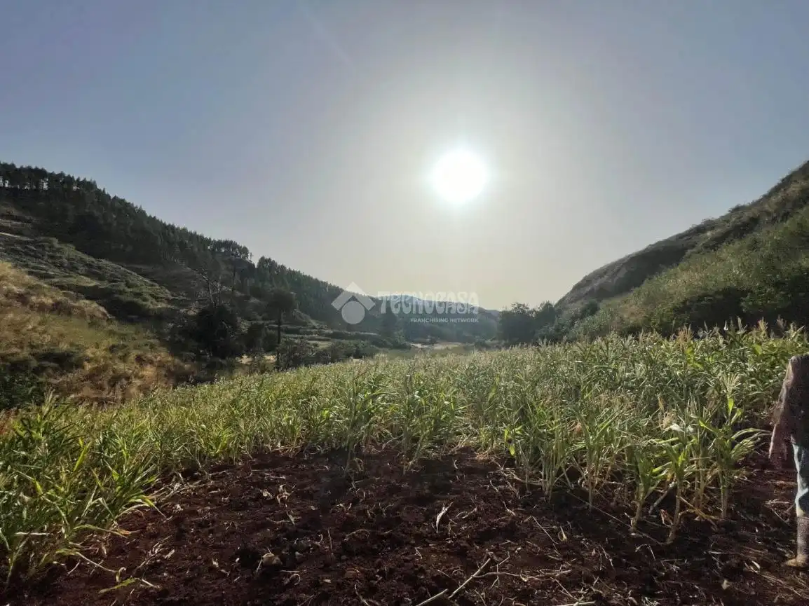 Terreno en venta en Gáldar