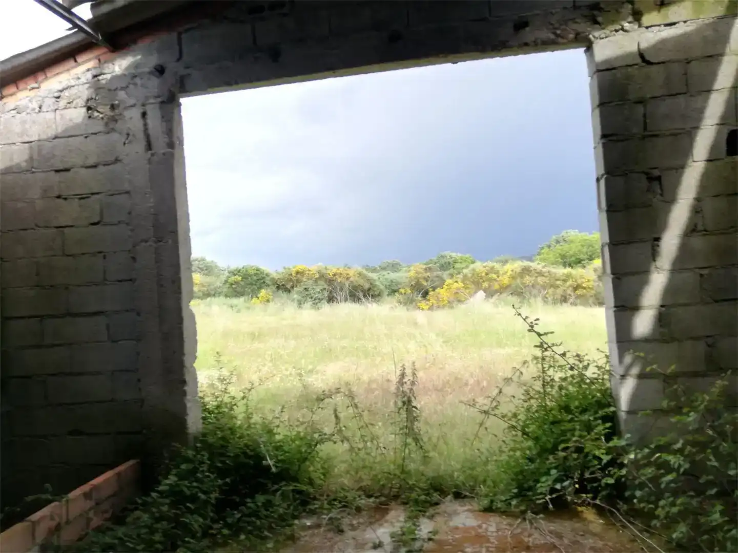 Finca rústica en venta en Os Blancos 