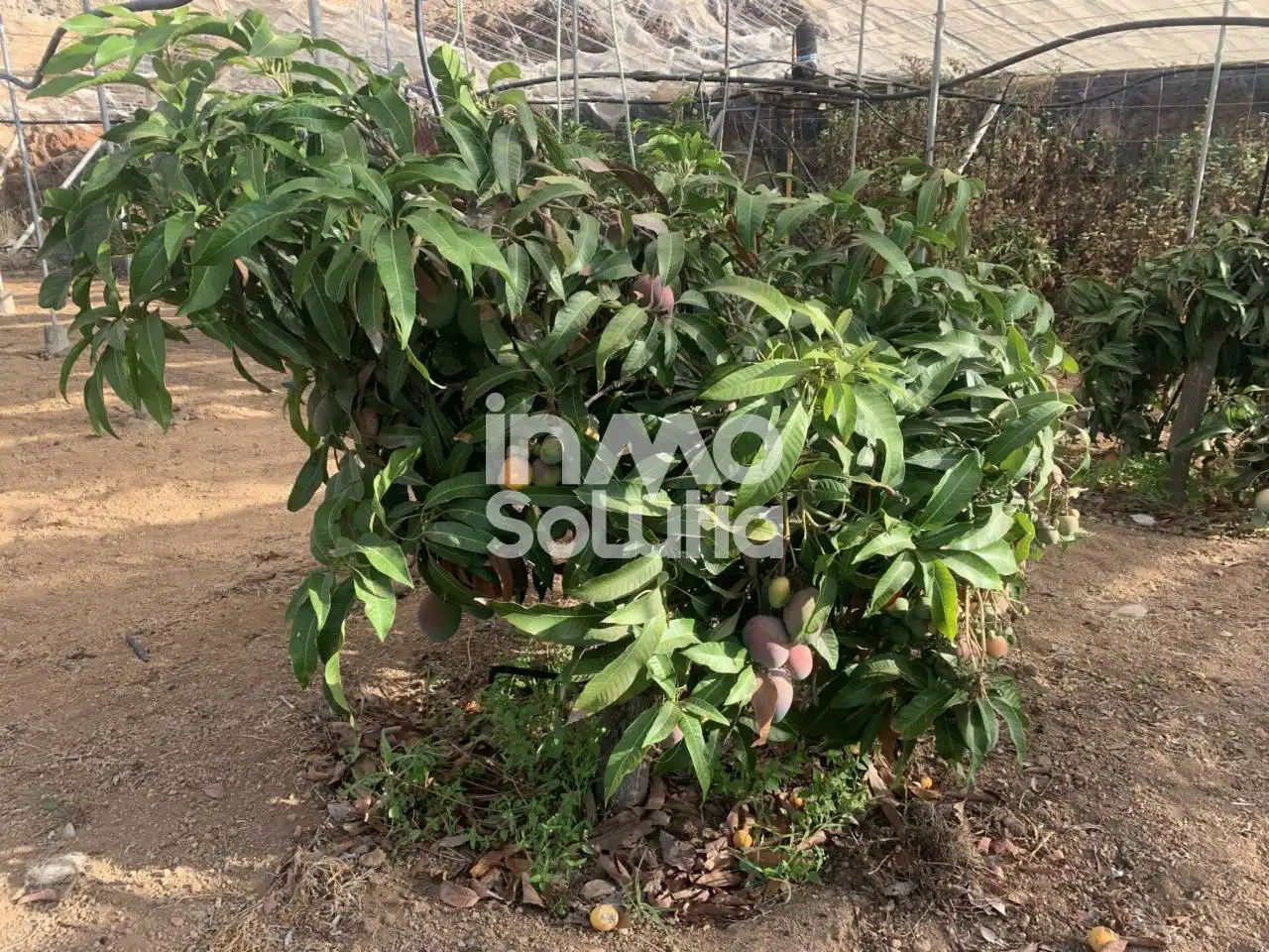 Terreno rustico in vendita a El Capitán, imagen 15