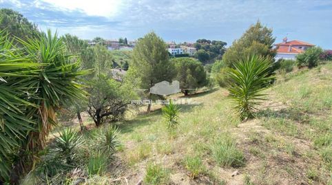 Parcela en Sant Quirze  Calella de Mar, immagine 3