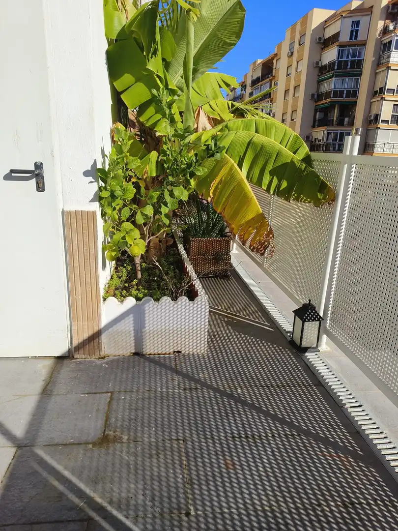 Detached homes for rent in Calle Eugenio Gross, Los Castillejos - La Trinidad