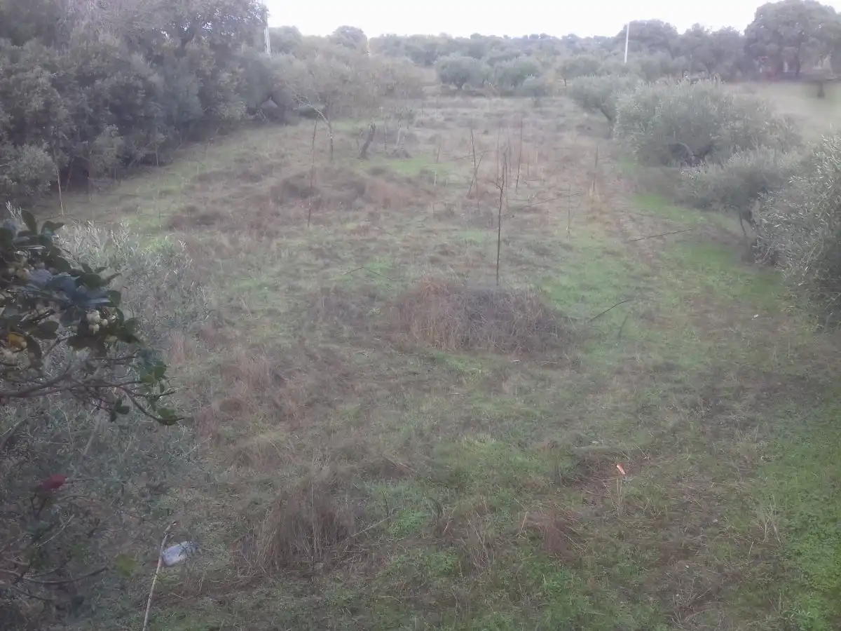 Terreni e lotti in vendita a Arroyo de la Luz