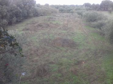 Terreno rústico en venta en Arroyo de la Luz