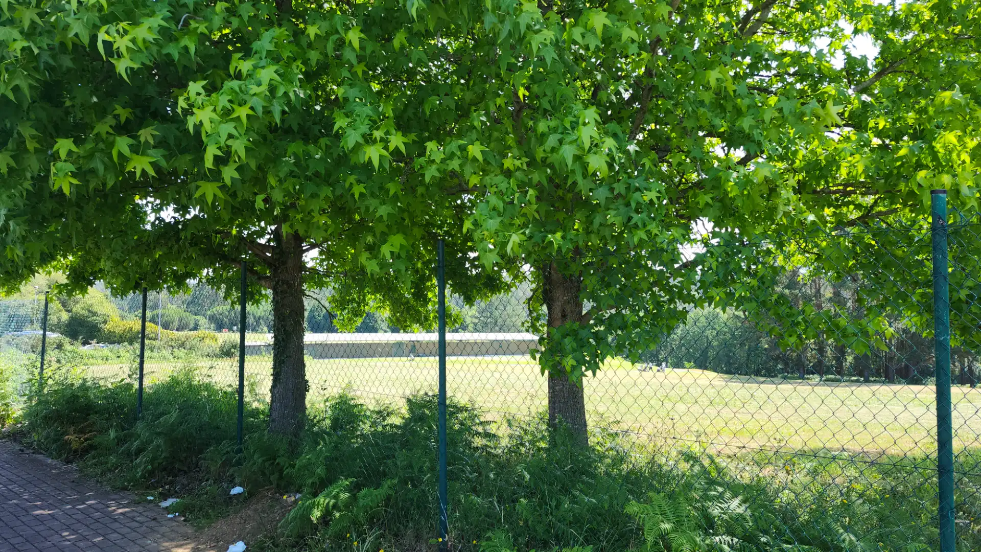 Terreni e lotti in vendita a Avenida de Xarío 121, imagen 32