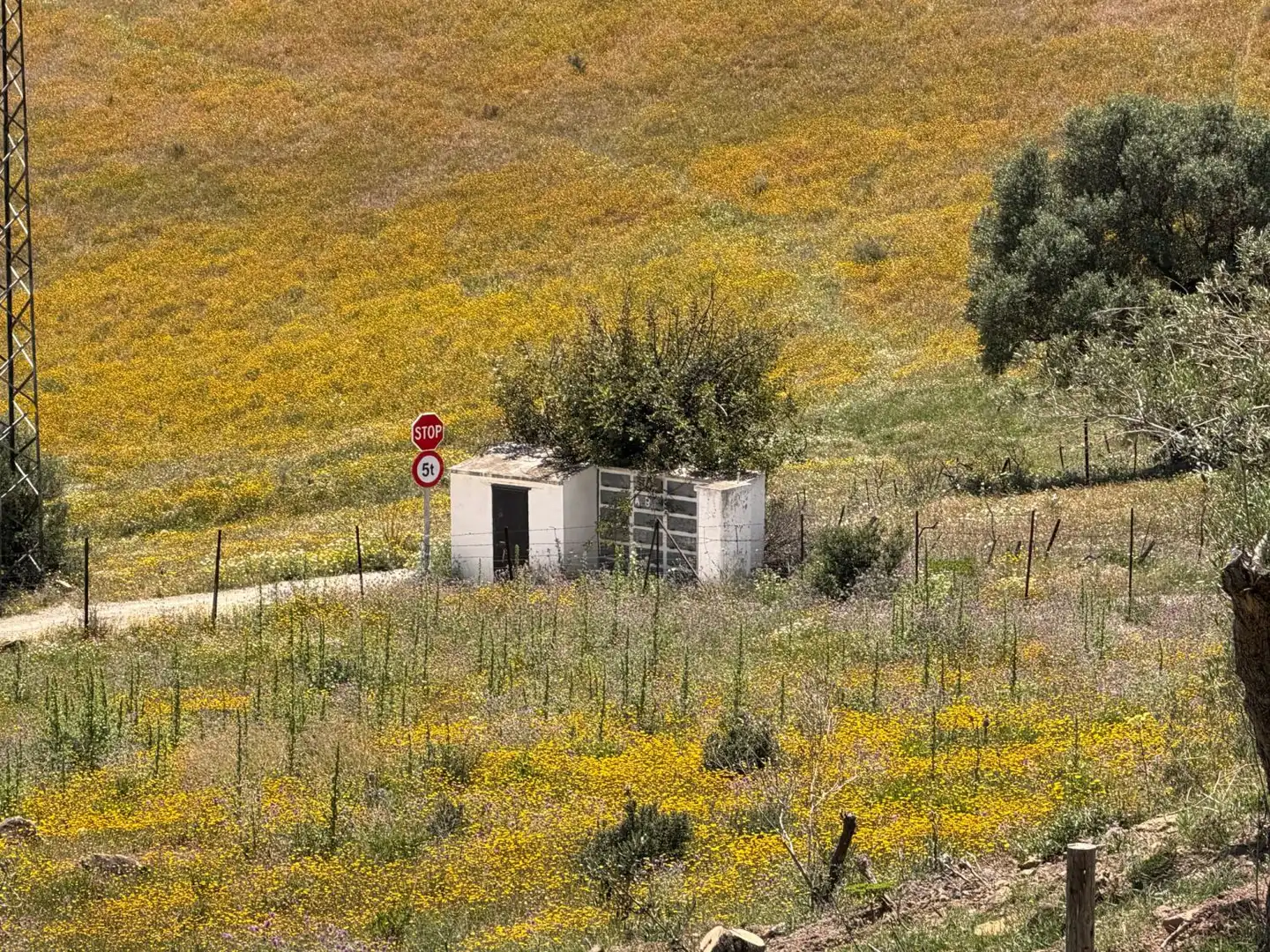 Casa rústica en venda a Gaucín, imagen 22