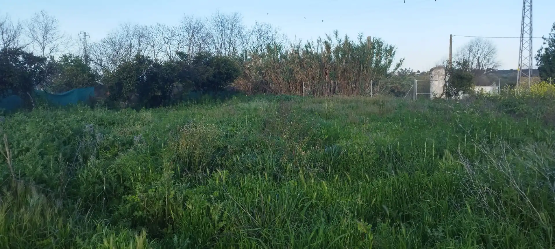 Finca rústica en venda en Aznalcázar
