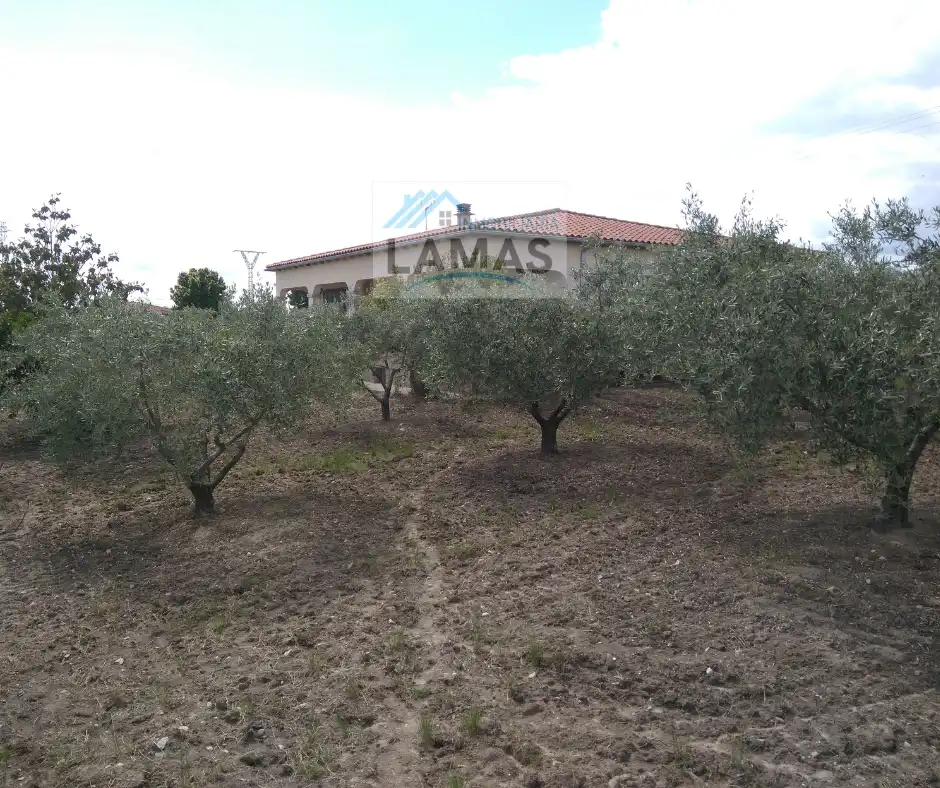 Casa rústica amb jardí en venda a Talayuela, imagen 23