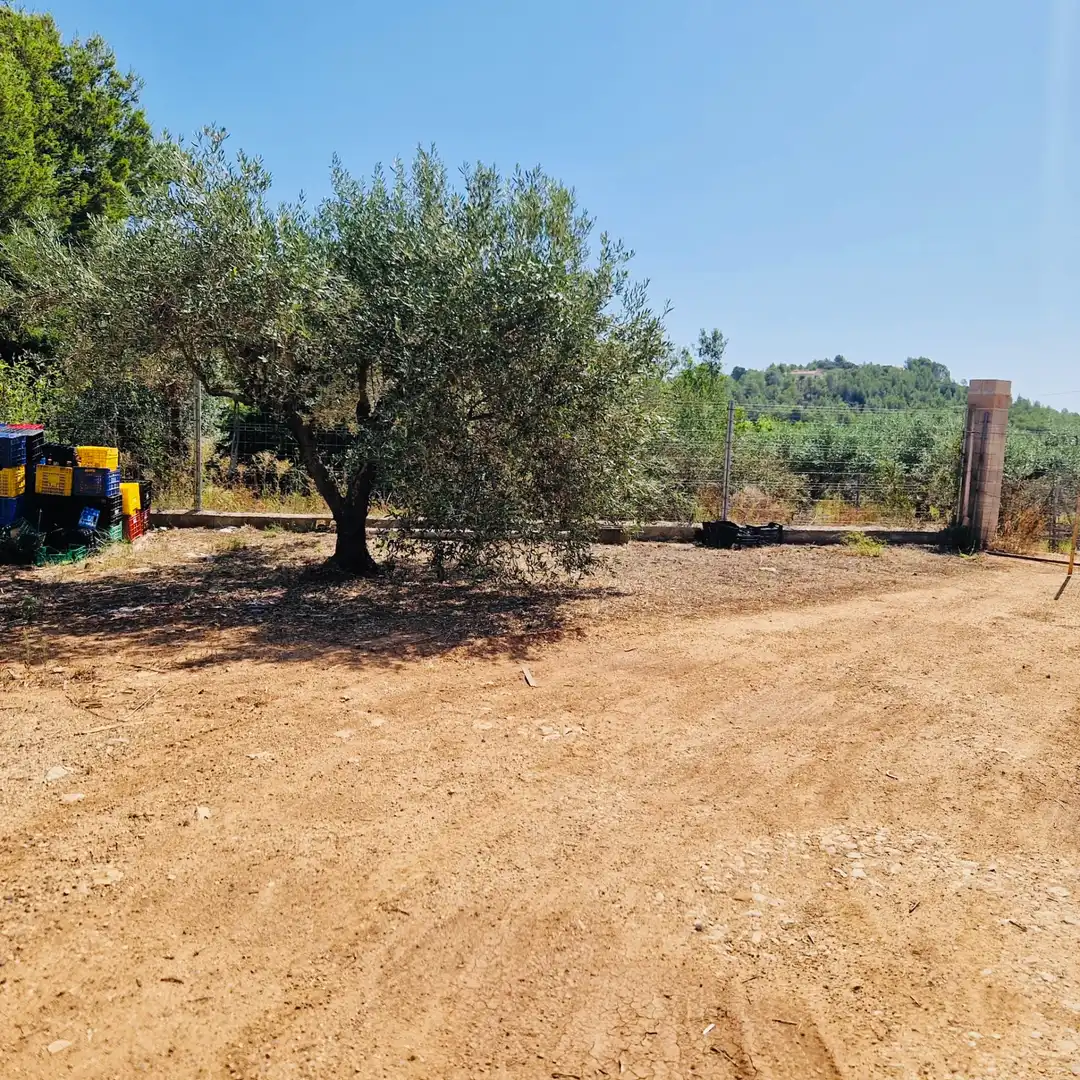 Villa avec jardin à vendre à Parcent, imagen 6