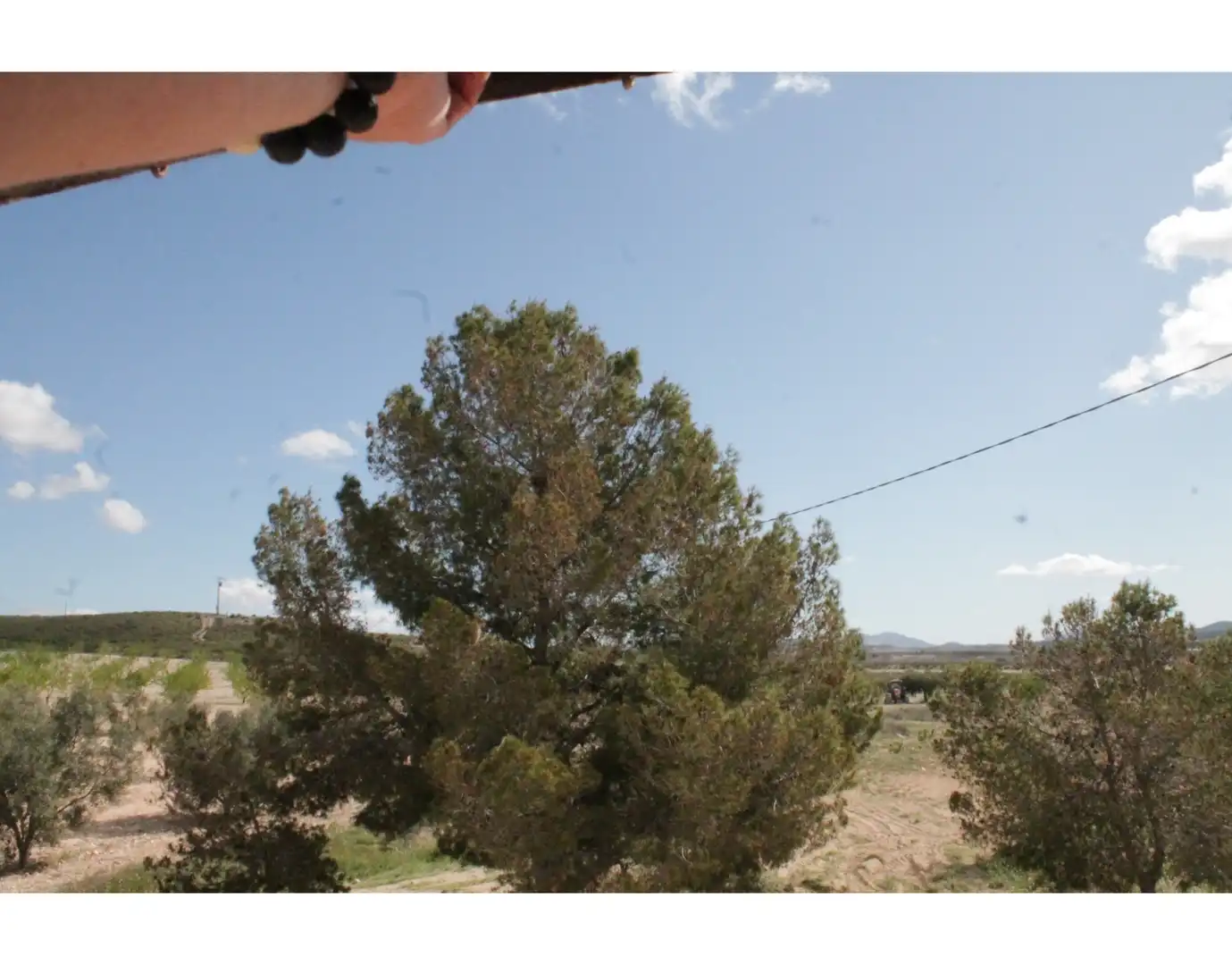 Country house for sale in Jumilla, imagen 23
