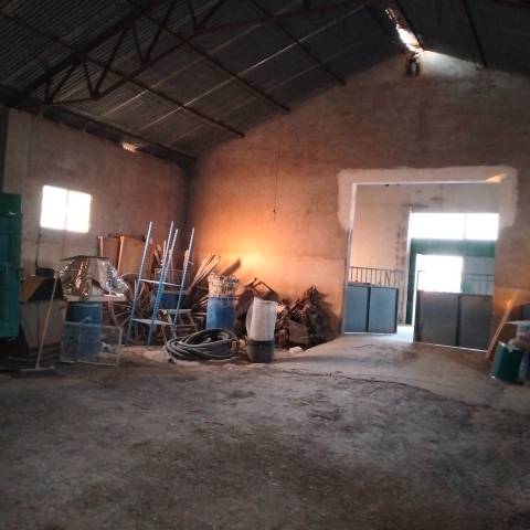 Nave industrial en Alquiler en Munera