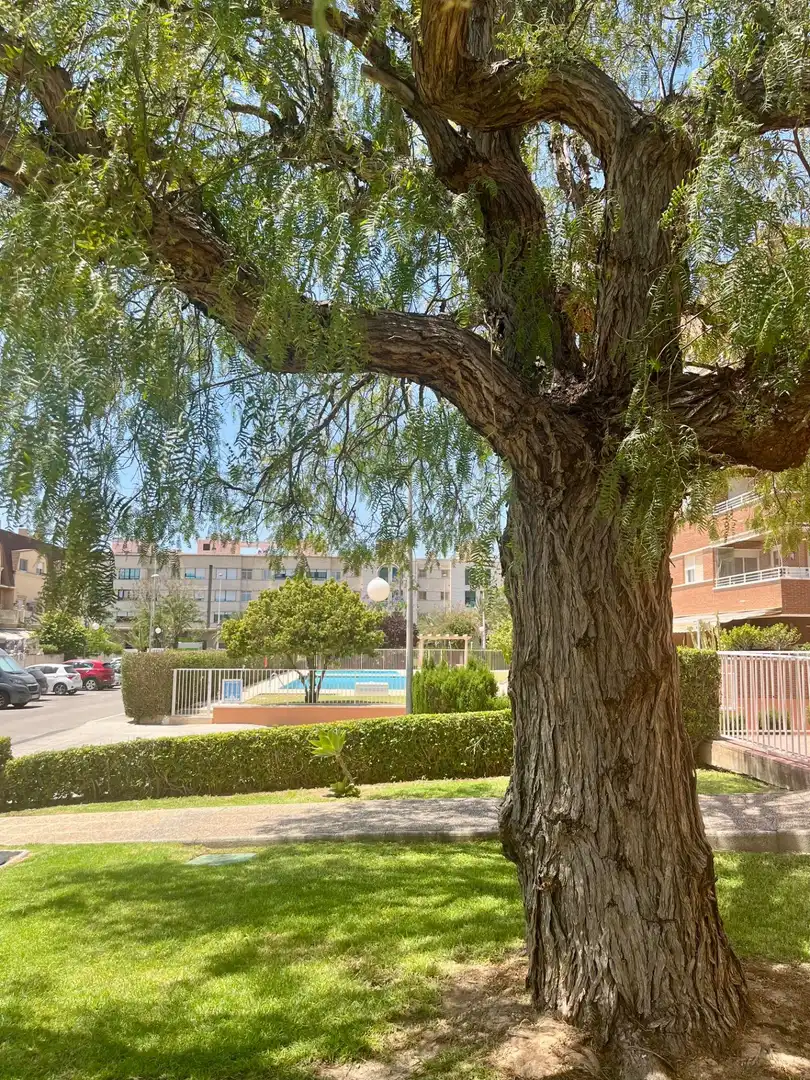 Maison mitoyenne avec terrasse à vendre à Calle Pediatra Don Andrés Bru Ibarra, imagen 47