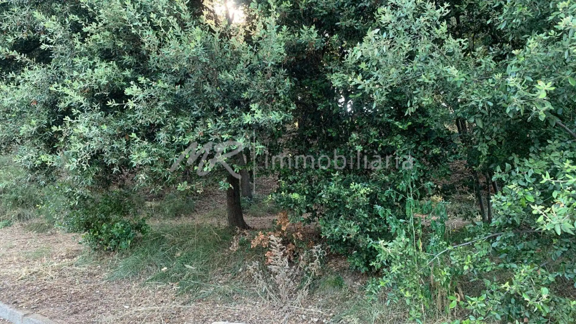 Terreny residencial en venda a Cànoves I Samalús, imagen 5