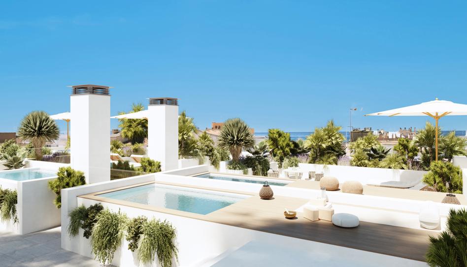 Foto 0 de Promoción Promoción VAE Colònia de Sant Jordi — Mallorca