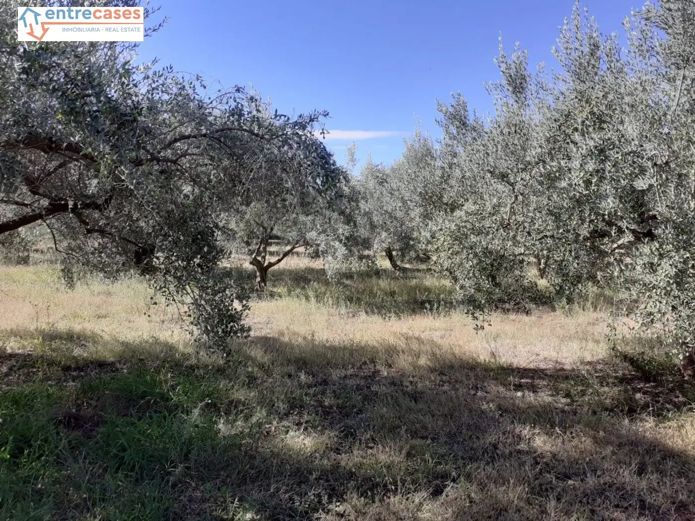 Terreno rustico in vendita a Segorbe, imagen 24