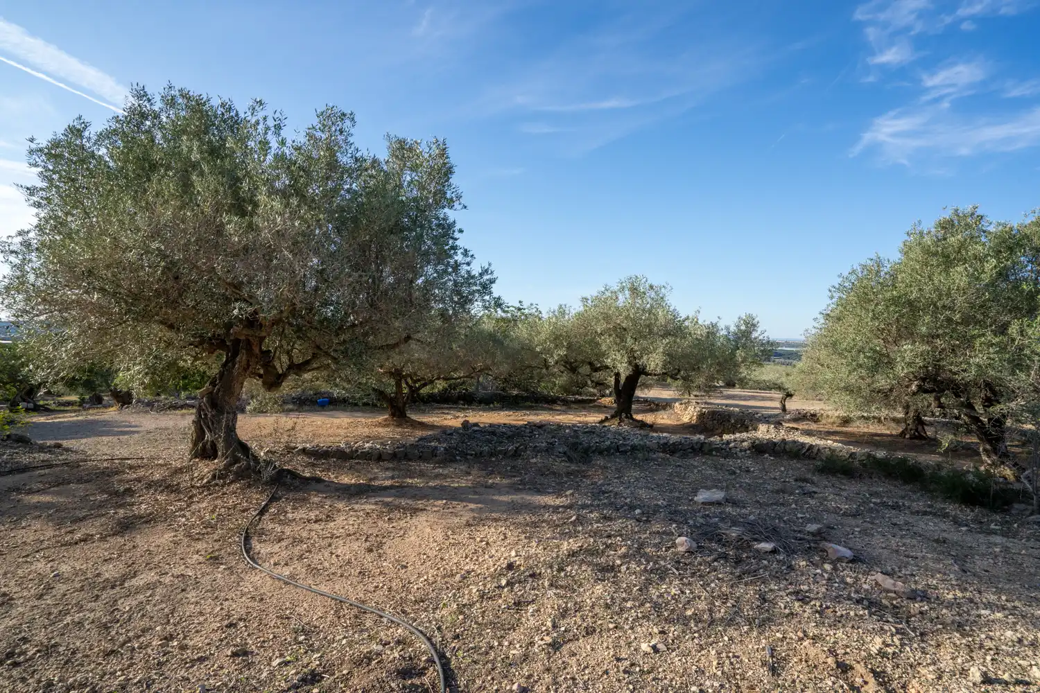 Finca rústica en venda en Tortosa amb Terrassa i Traster