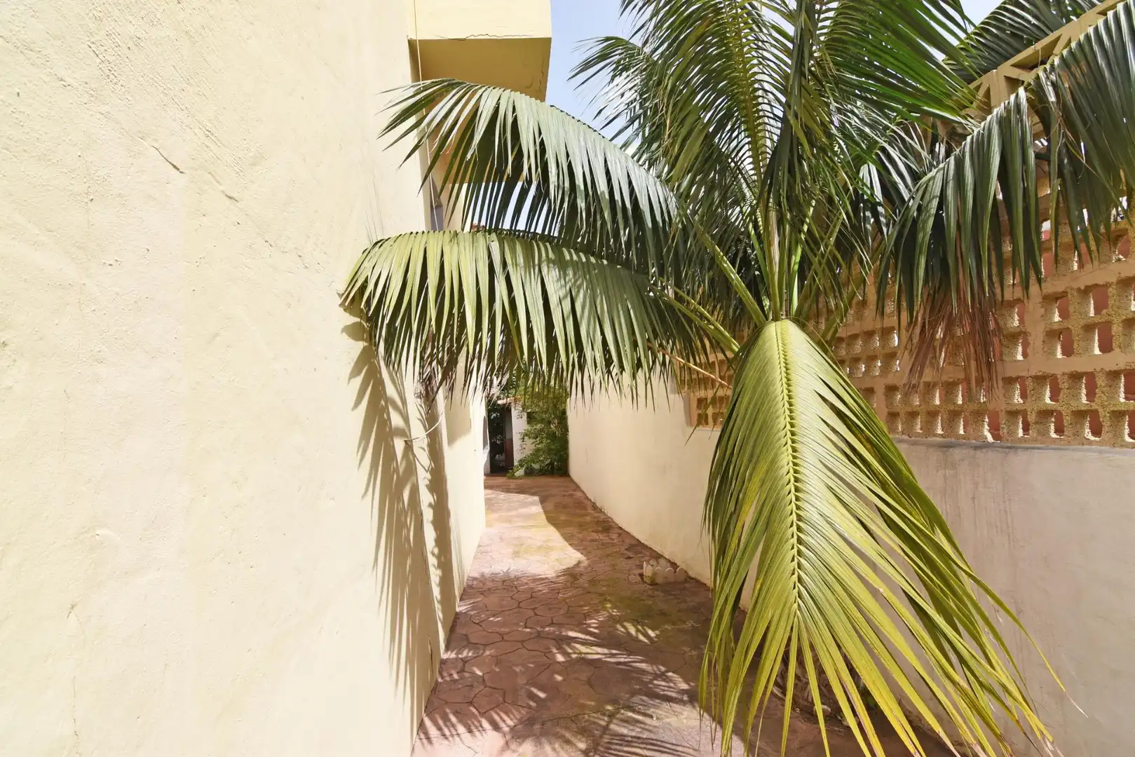 Casa o chalet en venta en Firgas