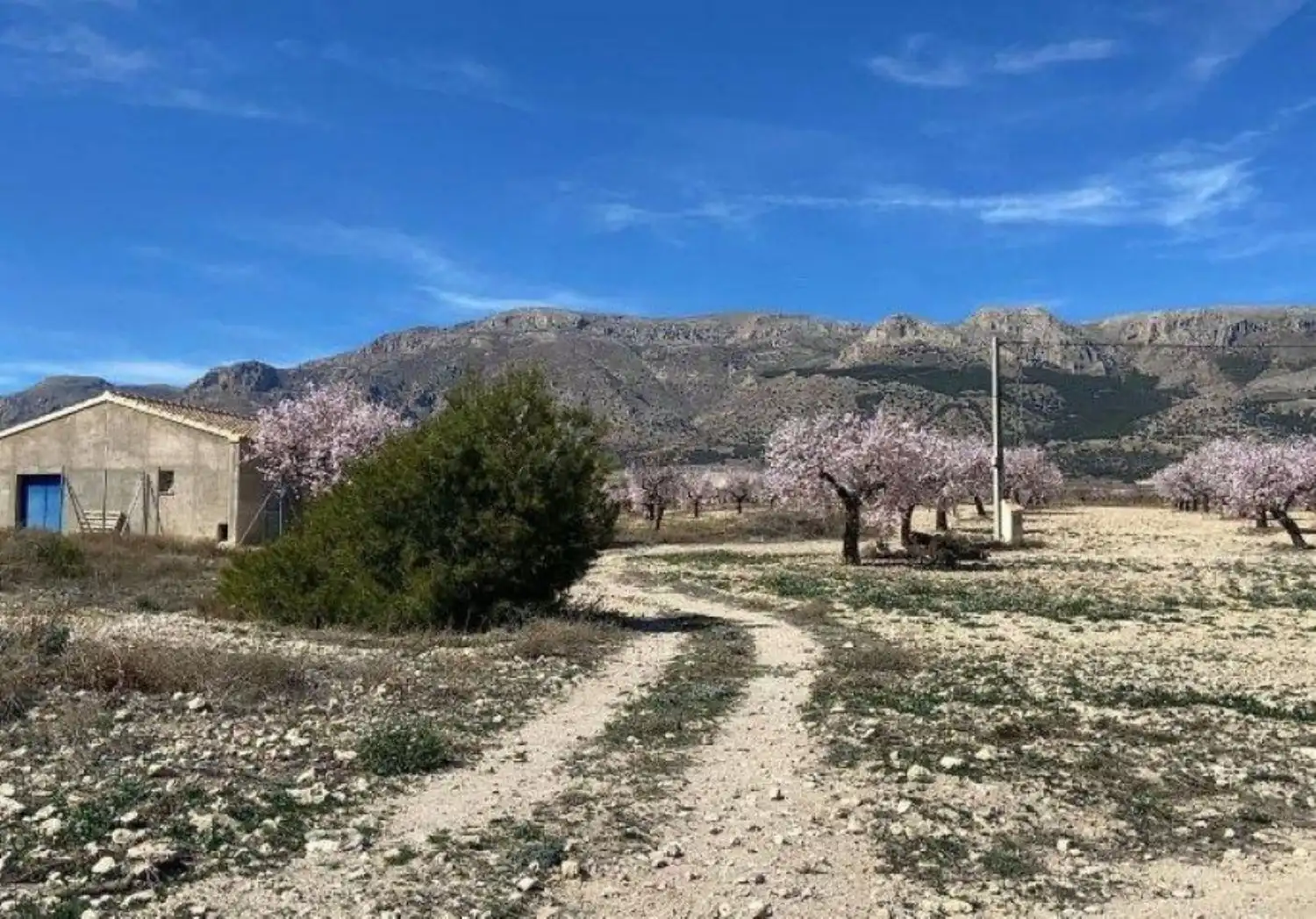 Vista exterior de Finca rústica en venta en Vélez-Rubio con Calefacción, Jardín privado y Trastero